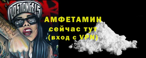 гидра Белокуриха