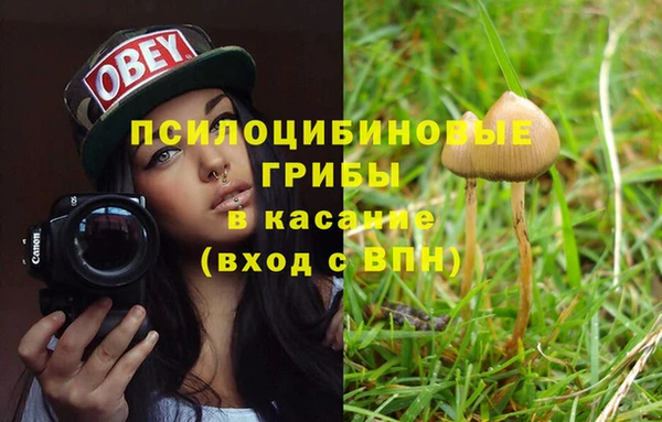 гидра Белокуриха