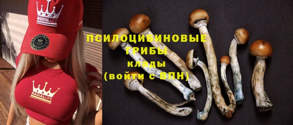 гидра Белокуриха