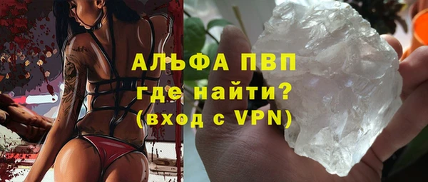 гидра Белокуриха