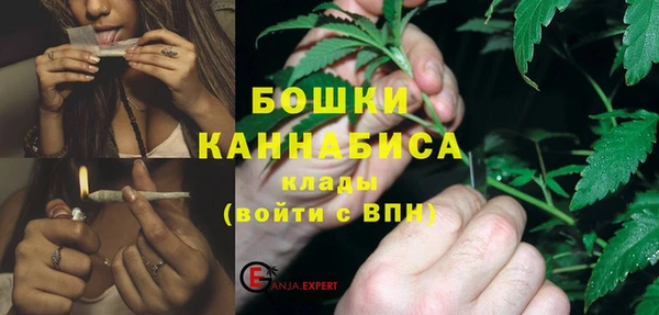 гидра Белокуриха