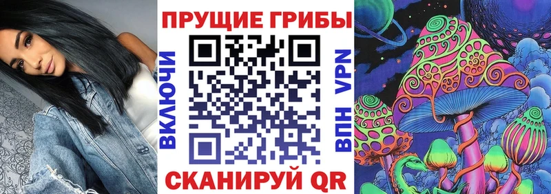 закладки  Наро-Фоминск  Псилоцибиновые грибы MAGIC MUSHROOMS 